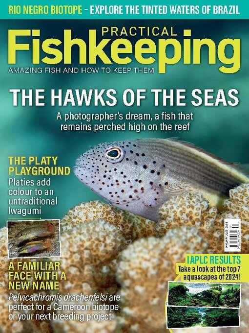 Title details for Practical Fishkeeping by Warners Group Publications Plc - Available